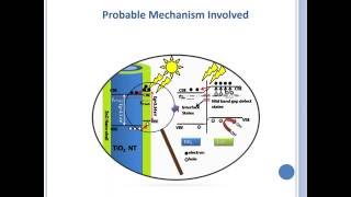 TiO2ZnO coreshell nanoheterojunction as photoelectrode [upl. by Imotas]