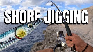 SHORE JIGGING Big ATTACK Live Strike [upl. by Urdna245]