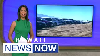 18000 rental cars are sitting idle at Kahului’s airport — a dramatic sign of Maui’s tourism slum [upl. by Holds]