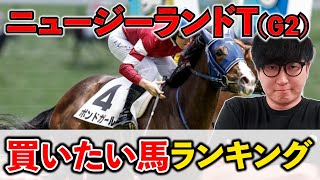 【ニュージーランドトロフィー2024予想】G1レベルの逸材と前走敗因明確の大穴馬を紹介 [upl. by Zaid235]