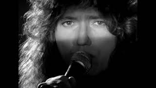 Whitesnake  Slow An Easy  The BLUES Album 2021 Remix HD Official Video [upl. by Lrak]