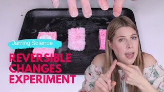 Reversible vs Irreversible Changes Science Experiment [upl. by Nortal]