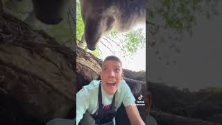 Cave exploring anyone Not my video bear cave nature naturelovers bears brownbears [upl. by Socha151]