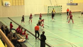 Hallenhockey Oberliga Damen Gruppe A CHTCSWK 44 02122012 [upl. by Lleda217]