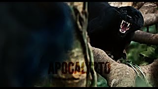 Best Scenes Of Apocalypto 2006 Part 3  1080p [upl. by Olimac]