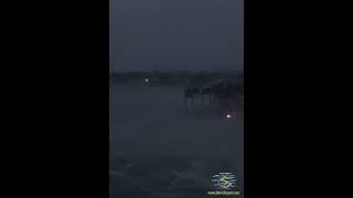 Hurricane Milton In FL In October 2024 Shorts [upl. by Eenwat]