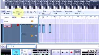 PROPELLERHEAD REASON how to automate a time signature change [upl. by Nnilsia]