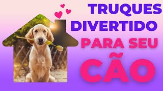 Truques canino com seu pet simples de ensinar qualquer cachorro pode aprender [upl. by Yoko]