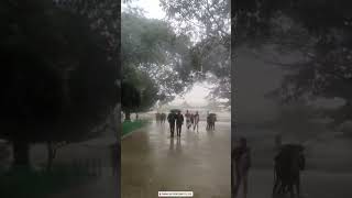 Rain in panimalar college collegelife panimalar [upl. by Pavyer]