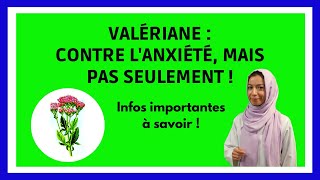 Quels sont les effets de la VALERIANE  Comment la valériane calme lanxiété  Infos en 6 min [upl. by Kiel30]