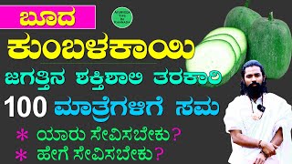 Moringa Leaves Farming in Kannada  How to Start a Moringa Business  Moringa Powder amp Tablets [upl. by Yajet]