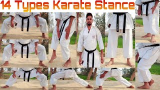 14 Types Beginner to Advanced Karate Stance  How to Do Karate Dachi  Karate Roshan Yadav [upl. by Okihcas974]