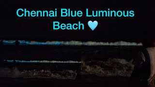 Chennai Blue Luminous Beach🩵😍 Chennai beach 🥳  Siva’s vlog🥵shorts chennai beach blue luminous [upl. by Arbma]