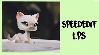 SPEEDEDIT LPS — 2 [upl. by Windzer209]