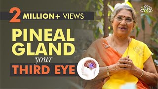 Take Care of your Pineal Gland by doing this  Dr Hansaji Yogendra [upl. by Dee]