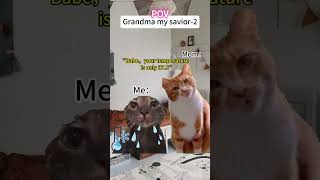 quotWhen You Pretend to Be Sick to Skip School But Grandma Comes to the Rescue 😹🤧🍪quotfunnycatmemes [upl. by Shing27]