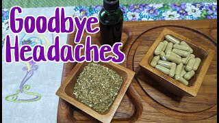 Prevent Headaches amp Migraines How to Make Feverfew Capsules [upl. by Yentnuoc]