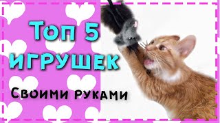 Игрушки для кошек для котов или для котят своими руками  подборка ТОП 5 [upl. by Alroi]