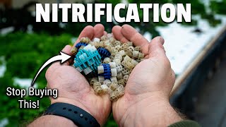 Why NITRIFICATION matters in AQUAPONICS [upl. by Blithe469]