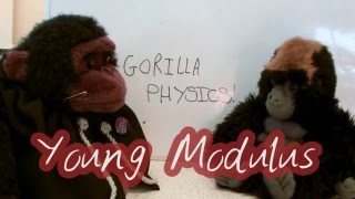 Young Modulus  A Level Physics Revision [upl. by Eilram949]