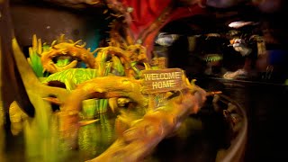 Splash Mountain Finale at Night POV  Disneyland  May 27 2023 4k 60fps [upl. by Ahsirk753]