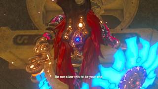 OMG THUNDERBLIGHT GANON IS TOUGH The Legend of Zelda Breath of the Wild [upl. by Aitselec132]