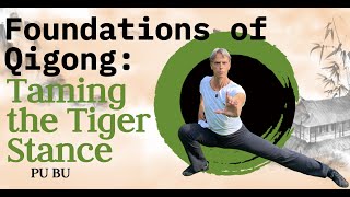 Pu BuTaming the Tiger Stance 🐯  Qigong Foundations [upl. by Clancy]