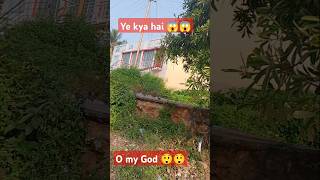 😱😱 birds k sath kya ho gaya 😭😭😭 commonmynaca🐦🐦 [upl. by Martina]