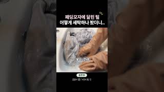 인조털vs천연털 패딩 모자털 집에서 세탁 관리법🧤 [upl. by Drugge577]