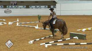 2020 APHA World Championships Trail 18ampU [upl. by Ahseei]