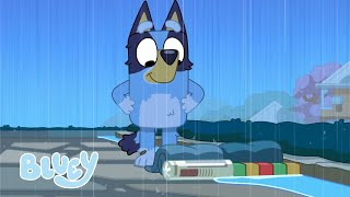 Episodios de Wholesome Bluey  Bluey Español Canal Oficial [upl. by Philan971]