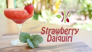 Strawberry Daiquiri Mocktail with Rose Water frozen or semifrozen Sugar free Plant based [upl. by Baugh]