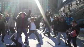 Harlem Shake Flash Mob at Millennium Park vChicago vDePaul [upl. by Gintz]