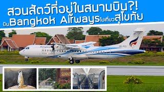 สวนสัตว์ที่อยู่ในสนามบิน ข้างรันเวย์มียีราฟ บิน Bangkok Airways ไปเที่ยวสนามบินสุโขทัย [upl. by Bertelli]