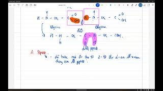 Lý thuyết Protein  Peptide  Enzyme Phần 2 [upl. by Arni677]