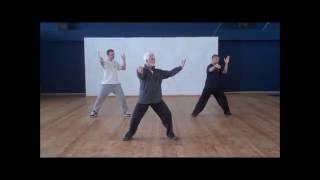 Wudang Tai Chi Chuan Cheng Tin HungDan Docherty short form  טאי צי [upl. by Harcourt]