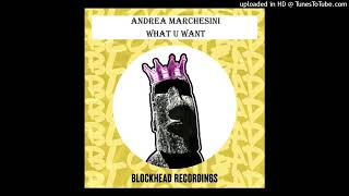 Andrea Marchesini  What U Want Richard Earnshaw amp Ridney Extended Revision Blockhead Recordings [upl. by Alburga]