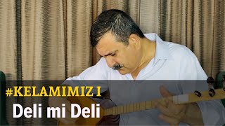 Nurettin Rençber  Deli mi Deli [upl. by Aoket]