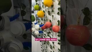 과일 쉽게 따는 스마트 로봇🤖 shorts fruits robot [upl. by Lovich779]