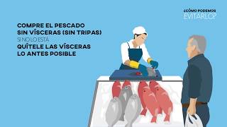 ANISAKIS Comer pescado es sano y saludable La Anisakiasis es fácil de evitar [upl. by Hgalehs]