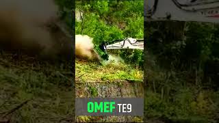 🟢 Mulcher for excavator OMEF TE9 in action [upl. by Claudelle661]