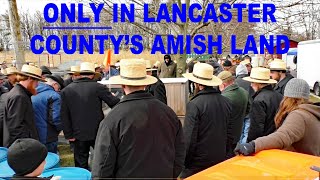 UNIQUELY LANCASTER COUNTYFire Company MUD SALESStrasburg Mud Sale 2024AMISH LAND Fundraiser [upl. by Hsekar]