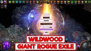 WILDWOOD GIANT ROGUE EXILES ANARCHY TIER 16 CURRENCY amp UNIQUE FARMING  POE 325 SETTLERS [upl. by Lacym]