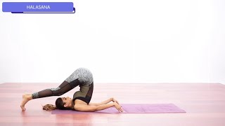 How to perform ‘Halasana’  Yoga with Shilpa Shetty [upl. by Nitsa]