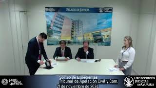 Sorteo de Expedientes del Tribunal de Apelación Civil y Comercial  21112024 [upl. by Ardek]