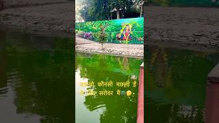 Barsana  Braj dharshan part 2 blogger radhekrishna barsana shorts [upl. by Lora150]