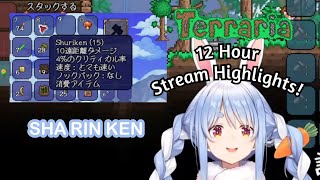 Pekoraria 12 Hour Stream Highlight1 [upl. by Rawlinson]