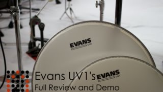 Evans UV1 Drum Head Review Everything you wanted to know [upl. by Tawnya]