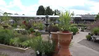 3Shires Garden Centre [upl. by Hedelman]