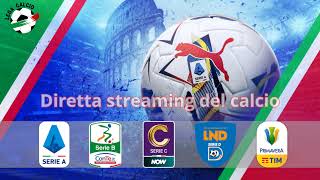 DIRETTA Pro Sesto  Fanfulla  Serie D Girone B Round 13 [upl. by Tnafni]